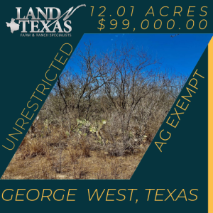 Unrestricted 12.01 Acres In George West, Texas