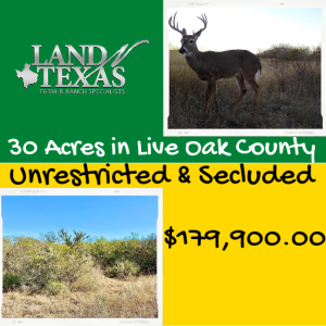 Unrestricted Secluded 30 Acres w/ AG Exemption