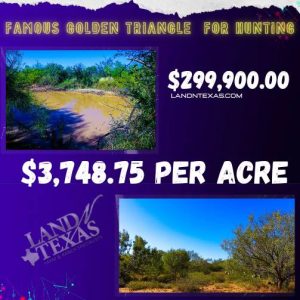 $3,748.75 An Acre In Golden Triangle