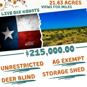 21.83 Acres In George West, Texas