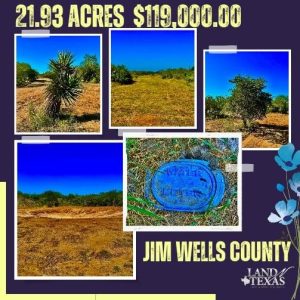21.93 Acres In Jim Wells County