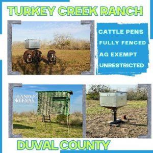 Turkey Creek Ranch In Duval County