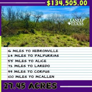 27.45 Acres Outside Of Hebbronville