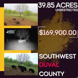 39.85 Acres In Sejita, Texas