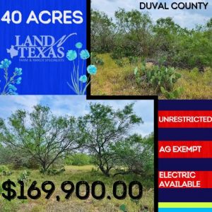 40.00 Acres In Sejita, Texas