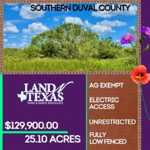 25.10 Acres In Duval County