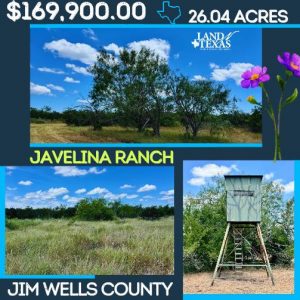 Javelina Ranch
