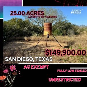 25.00 Acres In San Diego ISD