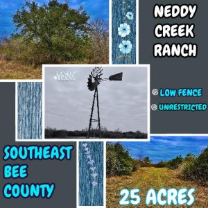 Neddy Creek Ranch
