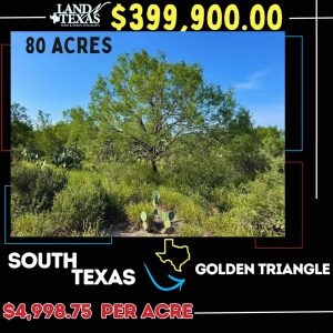 Fully Low Fenced 80 Acres