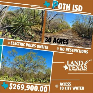 30 Acres in Wilson County