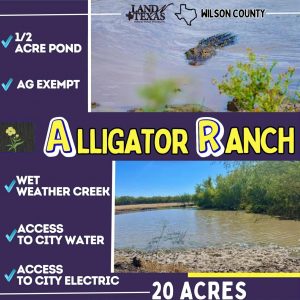 Alligator Ranch