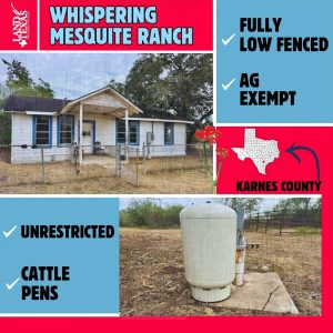 Whispering Mesquite Ranch