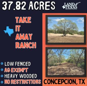 Concepcion, Texas